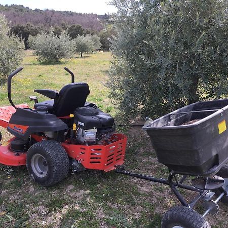 Ferme Oleicole Les Callis Villa Gordes Kültér fotó