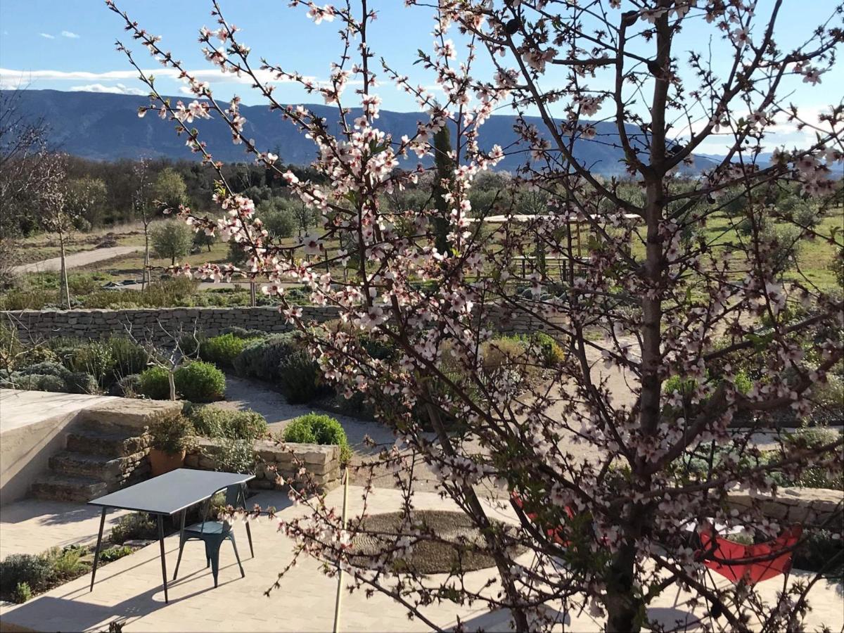 Ferme Oleicole Les Callis Villa Gordes Kültér fotó