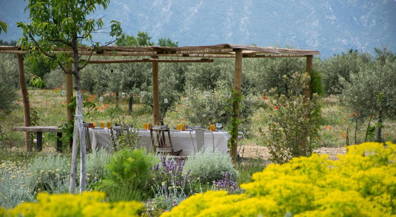 Ferme Oleicole Les Callis Villa Gordes Kültér fotó