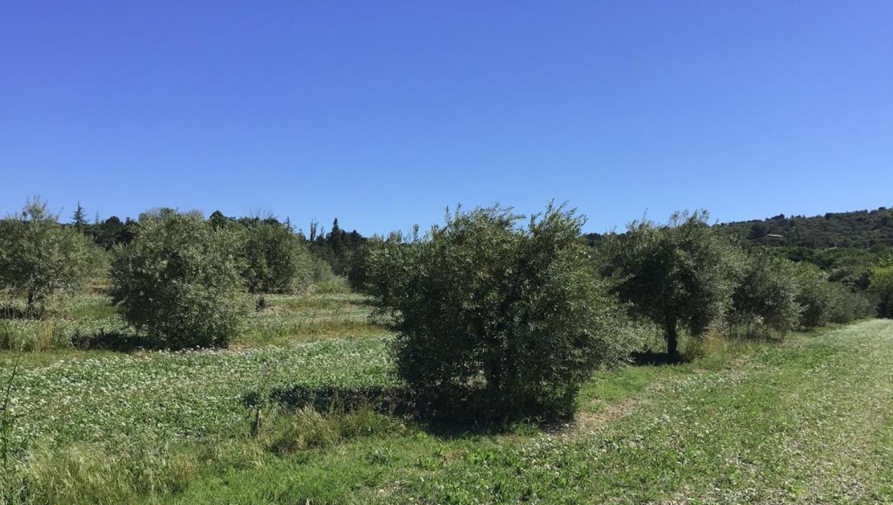 Ferme Oleicole Les Callis Villa Gordes Kültér fotó