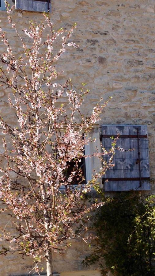 Ferme Oleicole Les Callis Villa Gordes Kültér fotó